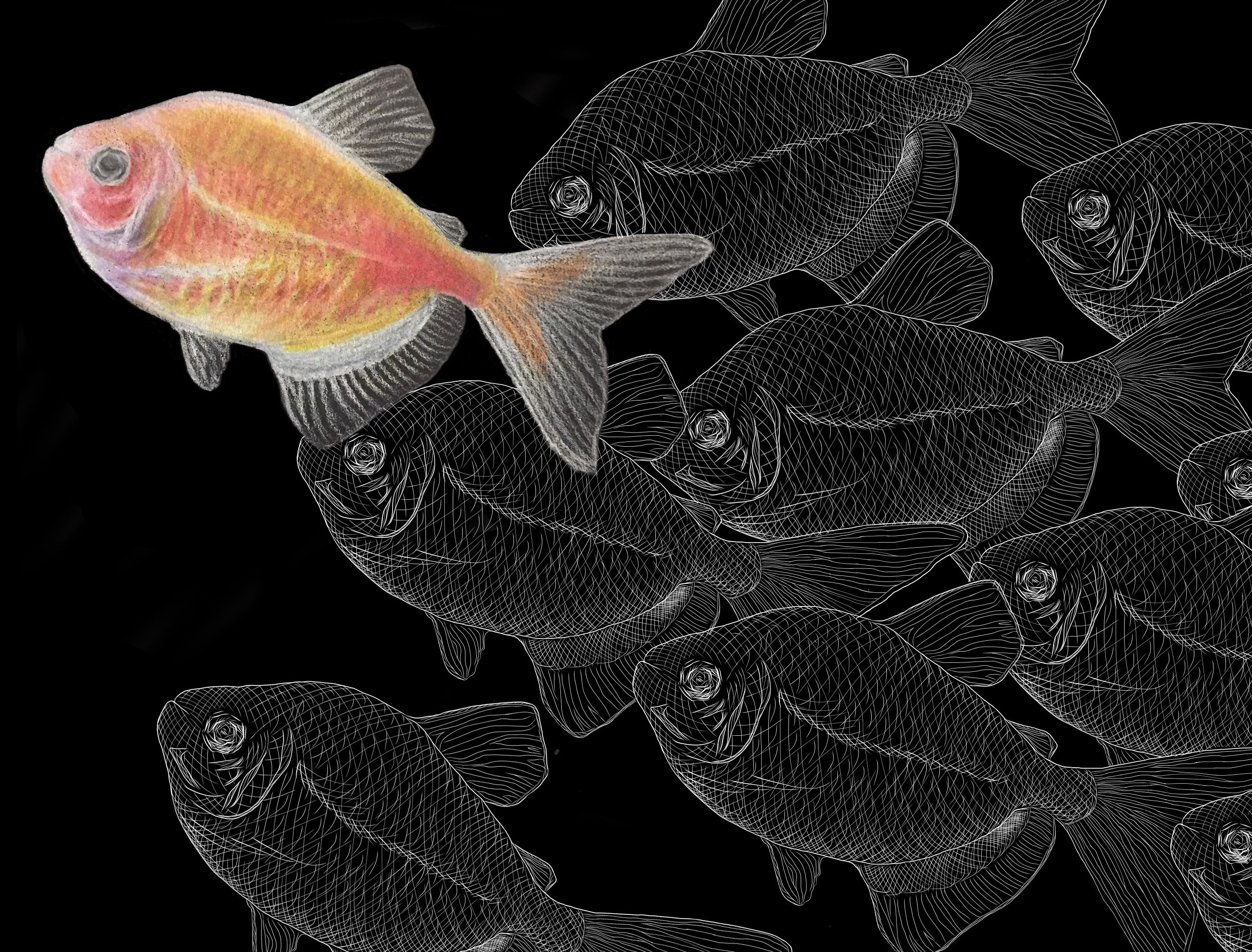 goldfish with black background surrounded by a school of digital fish