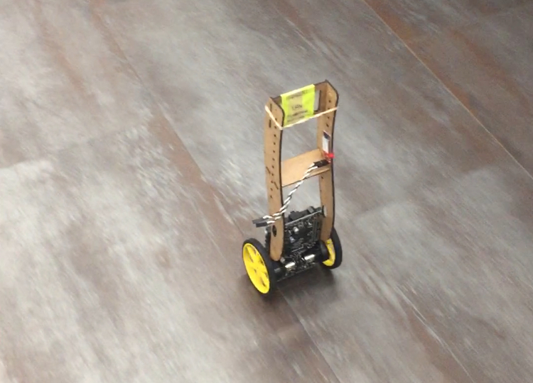 image of a pendulum pi-control robot